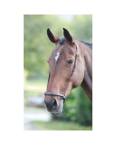 Shires Velociti GARA Drop Noseband