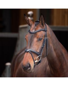 Shires Velociti Lusso Elite Flash Bridle