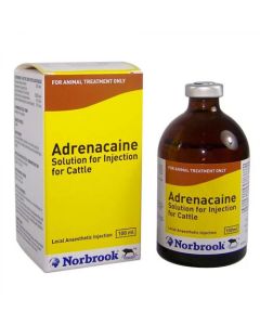 Norbrook Adrenacaine® Local Anasthetic Injection Solution 100ml