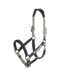 LeMieux Capella Headcollar Thyme