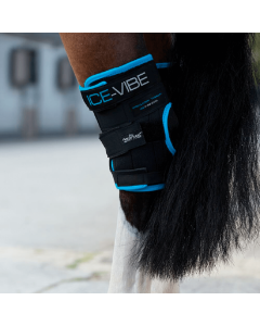 Horseware Ice-Vibe Hock Wrap Black