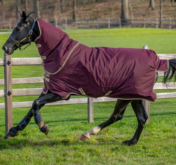 Horseware Amigo Hero Ripstop Plus Lite 0g Turnout Rug Fig, Navy & Tan