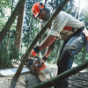 Husqvarna 562 XP Petrol Chainsaw