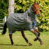 Horseware Amigo Bravo 12 Plus Medium 250g Turnout Rug Shadow/Navy/Lime