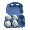 Agrihealth Ceramic Hen Eggs (Pack of 4)