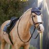 LeMieux Classic Fly Hood Jay Blue