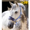 LeMieux Esme Vogue Headcollar & Leadrope Corn Blue