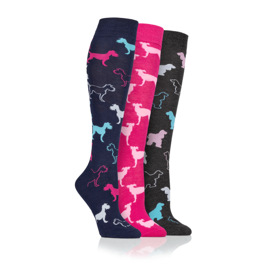 Dare To Wear Ladies Long Dog Print Socks 3 Pack | Chelford Farm Supplies