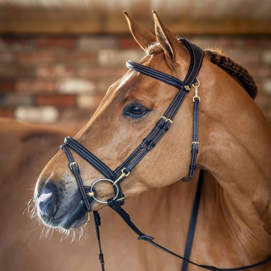 LeMieux Work Bridle