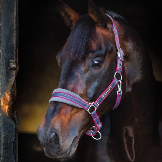 Horseware Rambo Padded Headcollar Charcoal / Blue / Raspberry