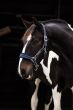 Horseware Rambo Padded Headcollar Witney Navy Stripe