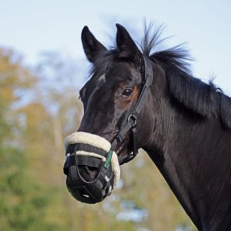 Shires FreeGraze AirFlow Grazing Muzzle Black