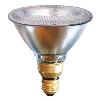 Kerbl 175W Infrared Heat Lamp Bulb Clear 