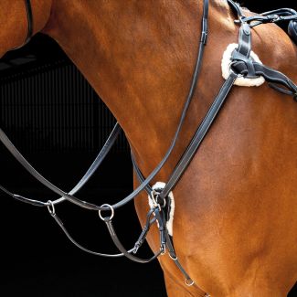 Shires Salisbury Five Point Breastplate