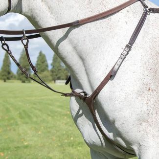 Shires Avignon Breastplate