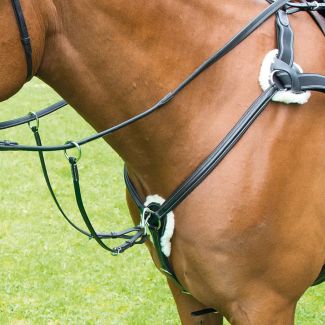 Shires Avignon Five Point Breastplate