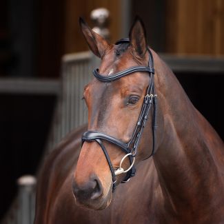 Shires Velociti Lusso Elite Flash Bridle Black