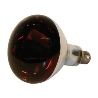 Kerbl 250W Infrared Heat Lamp Bulb Ruby