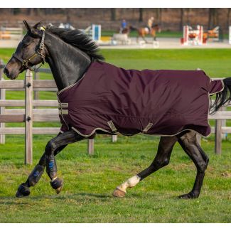 Horseware Amigo Hero Ripstop Lite 0g Turnout Rug Fig/Navy & Tan