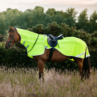 Horseware Amigo Flyrider Hi-Vis Exercise Sheet| Chelford Farm Supplies