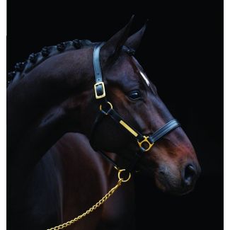 Horseware Amigo Padded Leather Headcollar Black