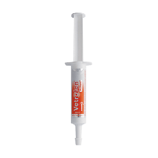 Animalife Vetrofen Intense Instant Syringe 30ml