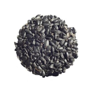 Bamfords Black Sunflower Seeds 15kg | Chelford Farm Supplies