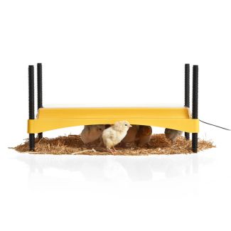 Brinsea EcoGlow Safety 1200 Chick Brooder | Chelford Farm Supplies 