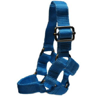 Crafty Ponies Headcollar