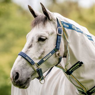 Horseware Fieldsafe Headcollar