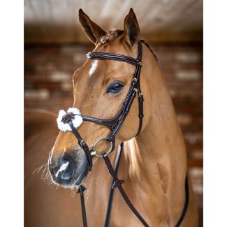 LeMieux Grackle Bridle