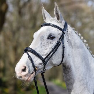 LeMieux Competition Flash Bridle