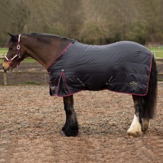 Gallop Equestrian Trojan 50  Stable Rug - Black