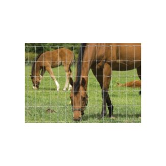 Hampton NET 10/90/7.5 Horse Stock Fencing 50m | Chelford Farm Supplies 