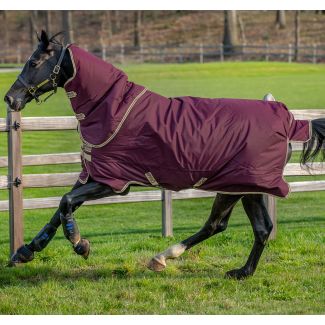 Horseware Amigo Hero Ripstop Plus Lite 0g Turnout Rug Fig, Navy & Tan