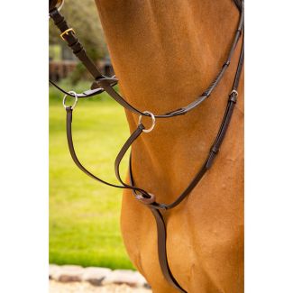 LeMieux Arika Running Martingale