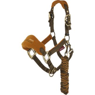 LeMieux Mini Headcollar & Leadrope Alpine
