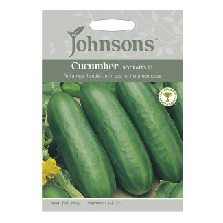 Johnsons Cucumber Socrates F1 Seeds