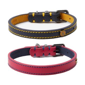 Joules Leather Dog Collar - Chelford Farm Supplies