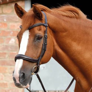 Premier Equine Lambro Anatomic Bridle With Crank Noseband