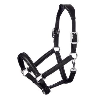 LeMieux Anatomic Leather Headcollar - Chelford Farm Supplies