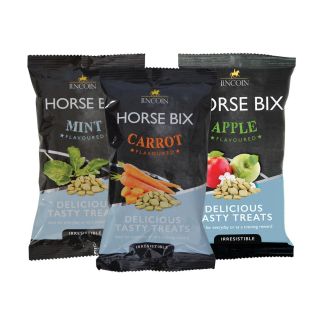 Lincoln Horse Bix - Chelford Farm Supplies 