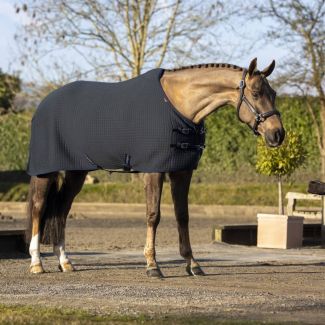 LeMieux Arika Clima-Tek Horse Rug Navy

