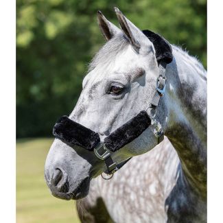 LeMieux Comfort Fleece Lined Headcollar