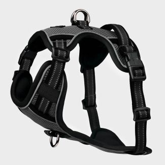 LeMieux Winchester Mesh Dog Harness