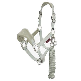 LeMieux Mini Vogue Headcollar Fern