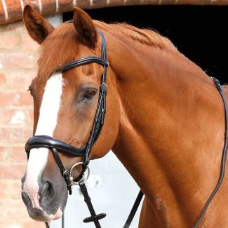 Premier Equine Savuto Anatomic Bridle With Crank Noseband