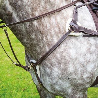 Shires Salisbury Five Point Breastplate - Chelford Farm Supplies 