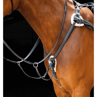 Shires Salisbury Five Point Breastplate Black - Chelford Farm Supplies