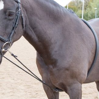 Shires Soft Lunging Aid - Chelford Farm Supplies